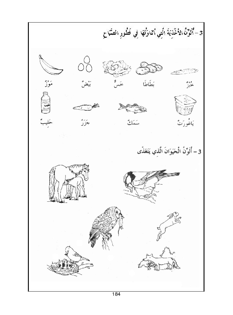 كتاب المعلم ايقاظ علمي سنة اولى