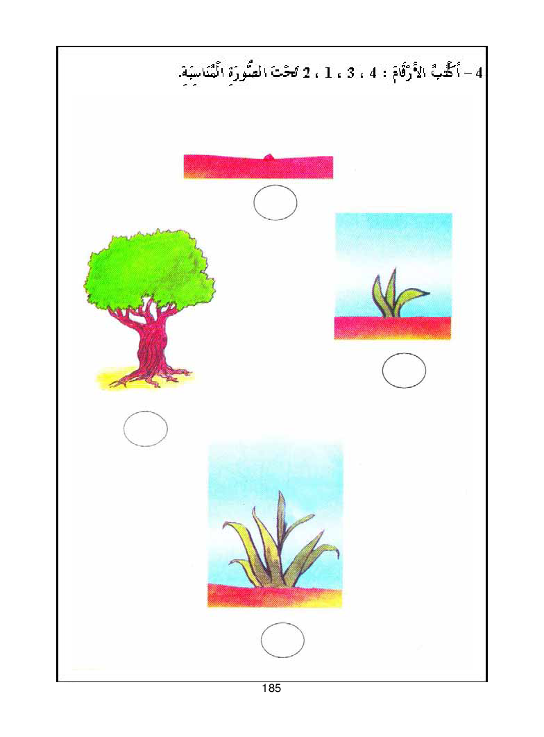 كتاب المعلم ايقاظ علمي سنة اولى