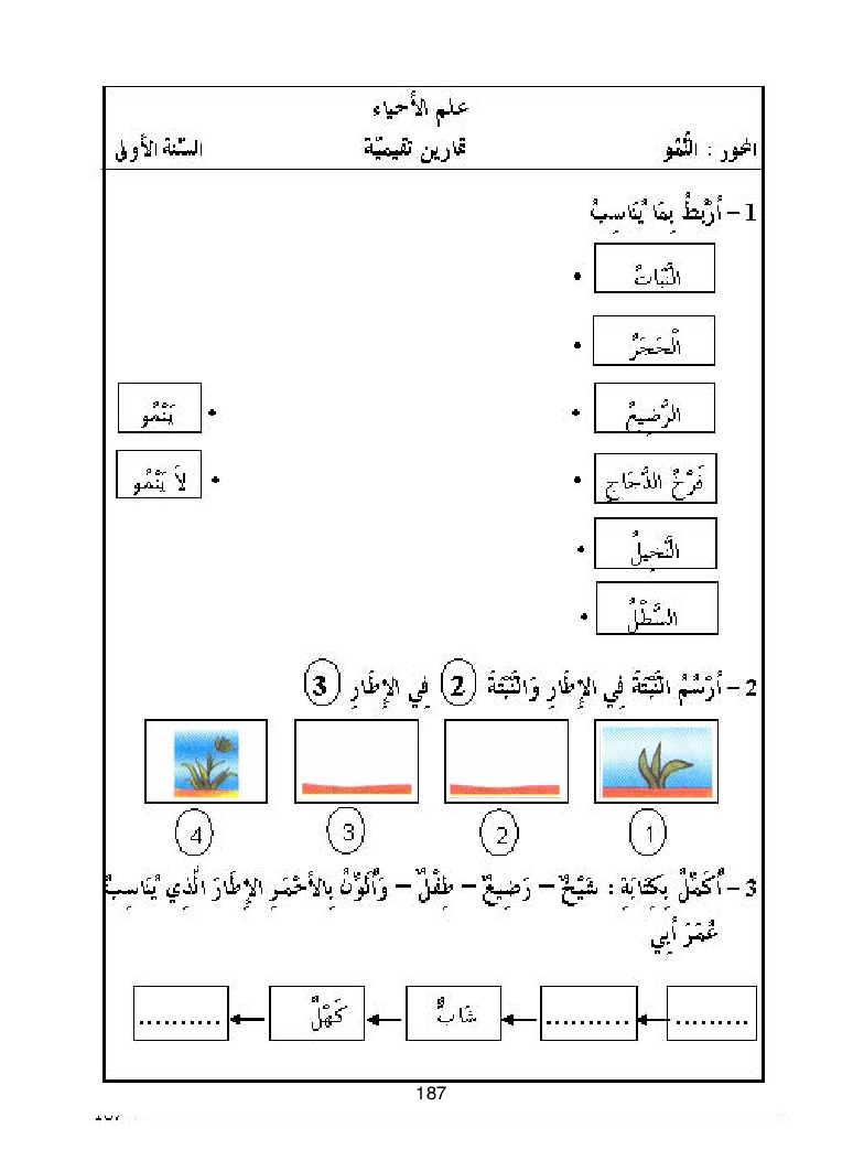 كتاب المعلم ايقاظ علمي سنة اولى