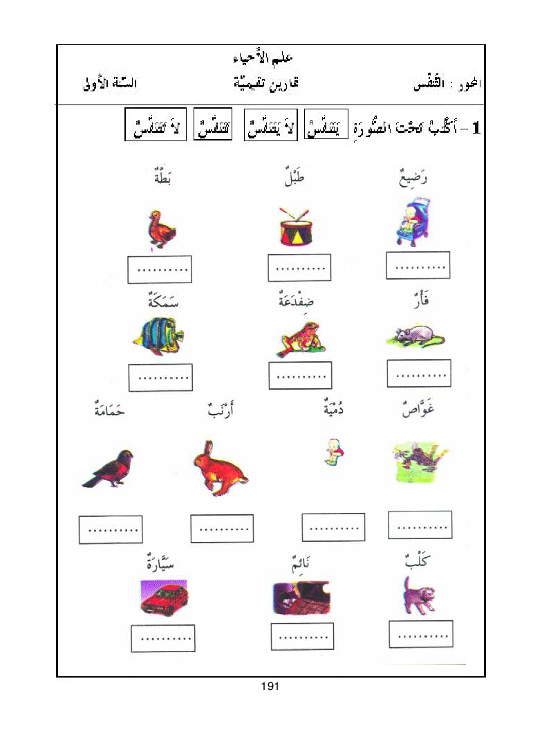 كتاب المعلم ايقاظ علمي سنة اولى