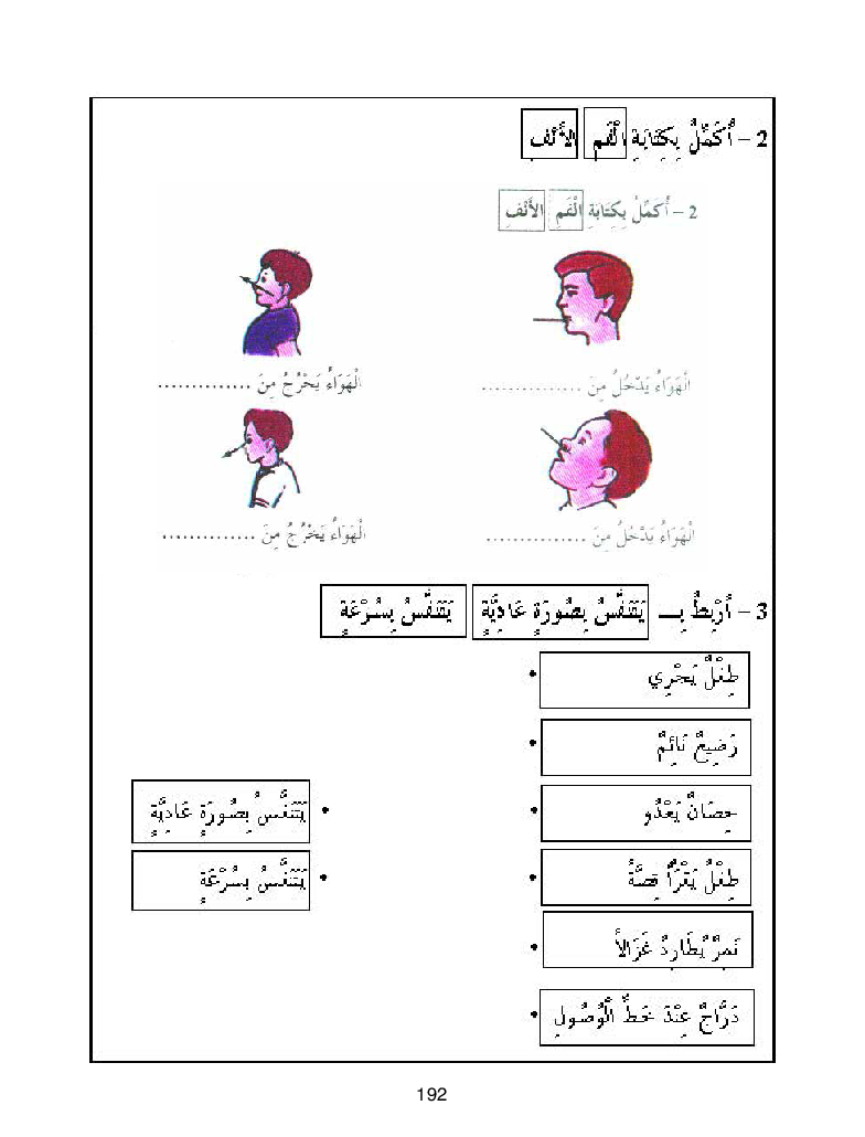 كتاب المعلم ايقاظ علمي سنة اولى