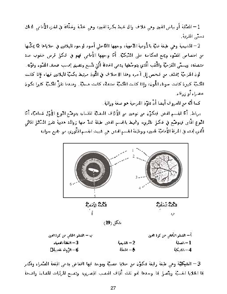 كتاب المعلم ايقاظ علمي سنة اولى