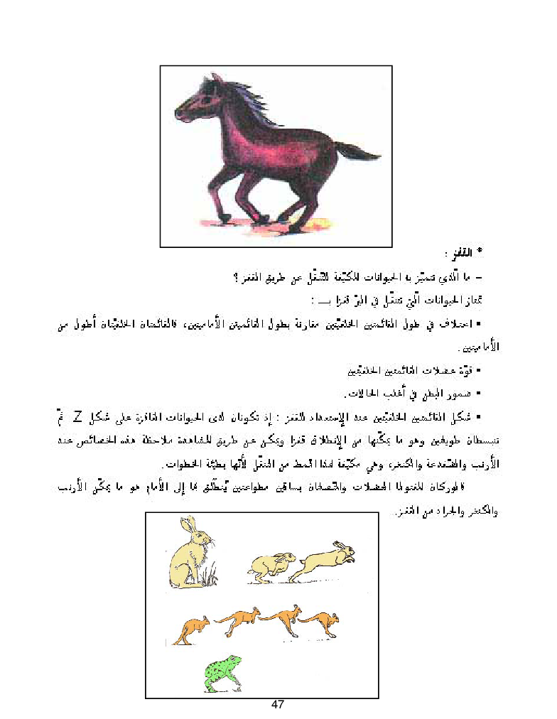 كتاب المعلم ايقاظ علمي سنة اولى