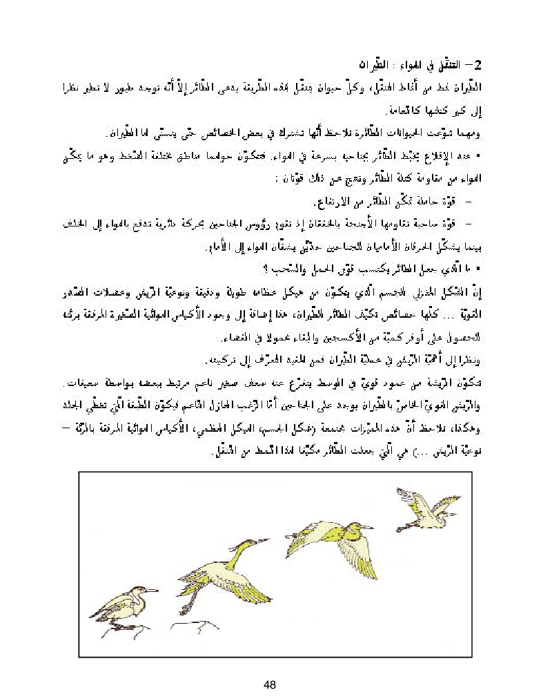 كتاب المعلم ايقاظ علمي سنة اولى