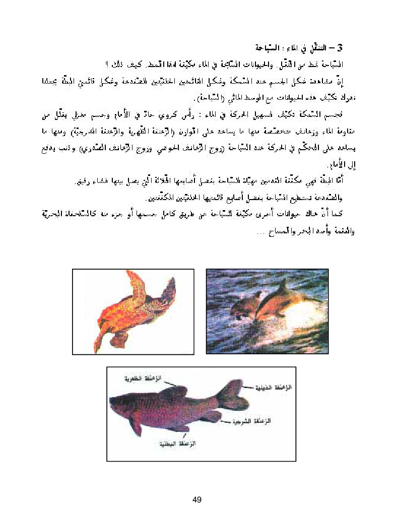 كتاب المعلم ايقاظ علمي سنة اولى