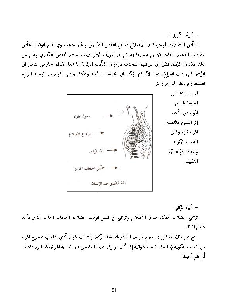 كتاب المعلم ايقاظ علمي سنة اولى