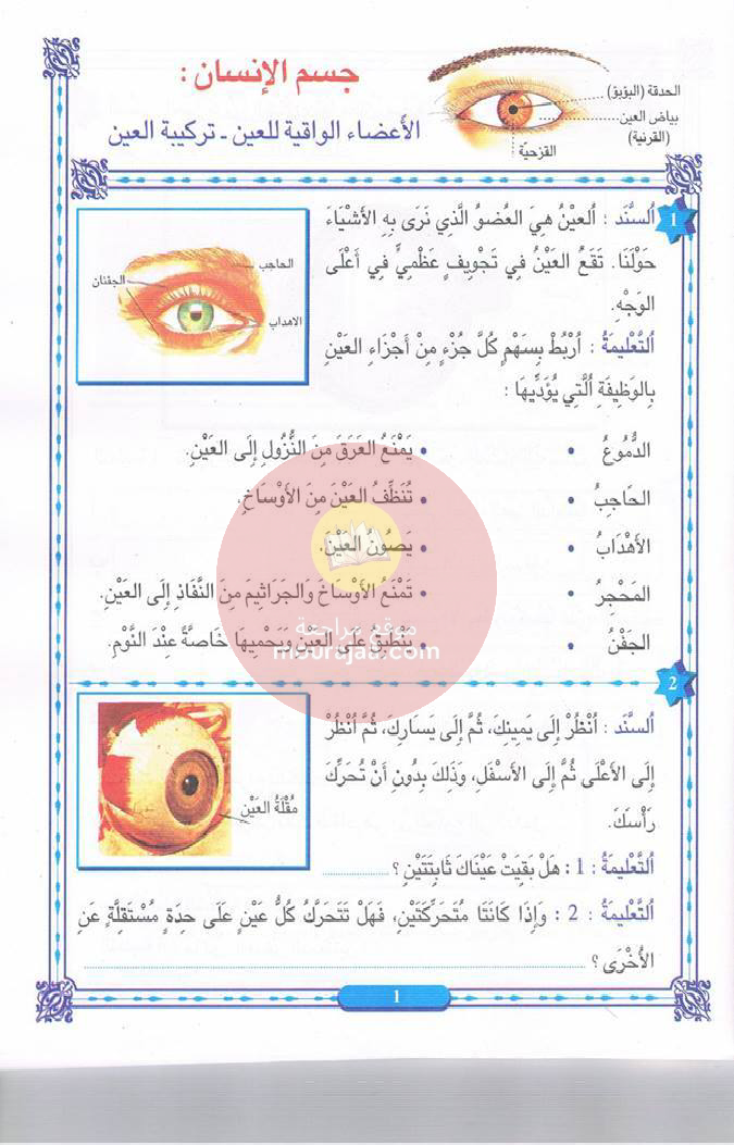 كتاب المنير في الايقاظ سنة 6