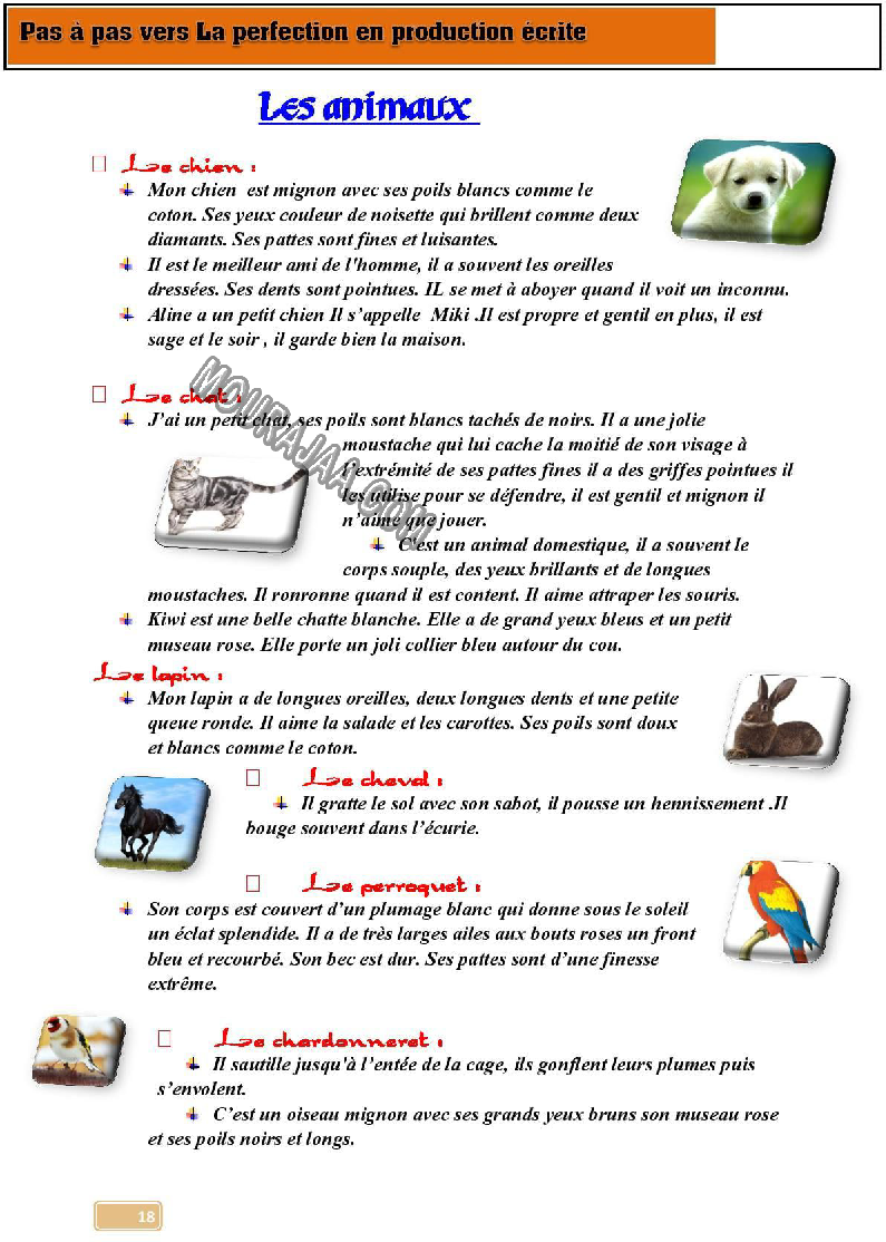 pas a pas vers la perfection en production ecrite 6eme
