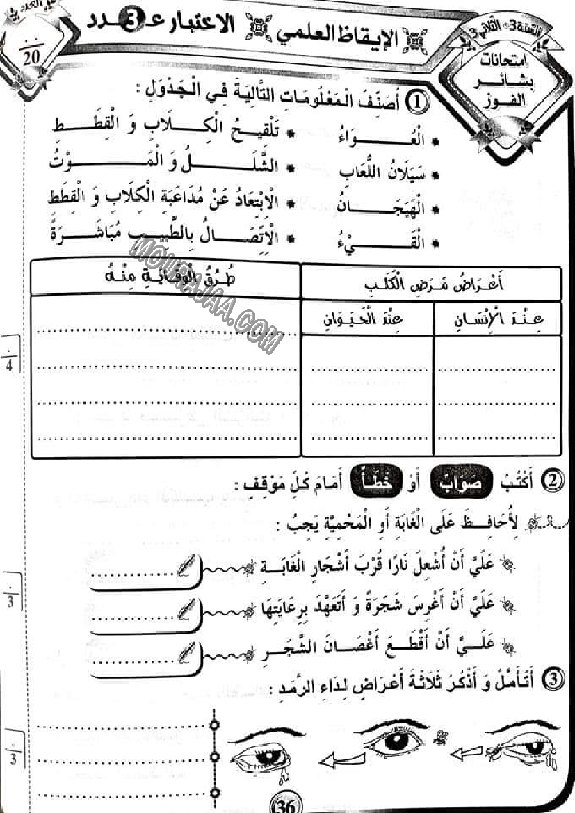 بشائر الفوز سنة ثالثة الثلاثي الثالث