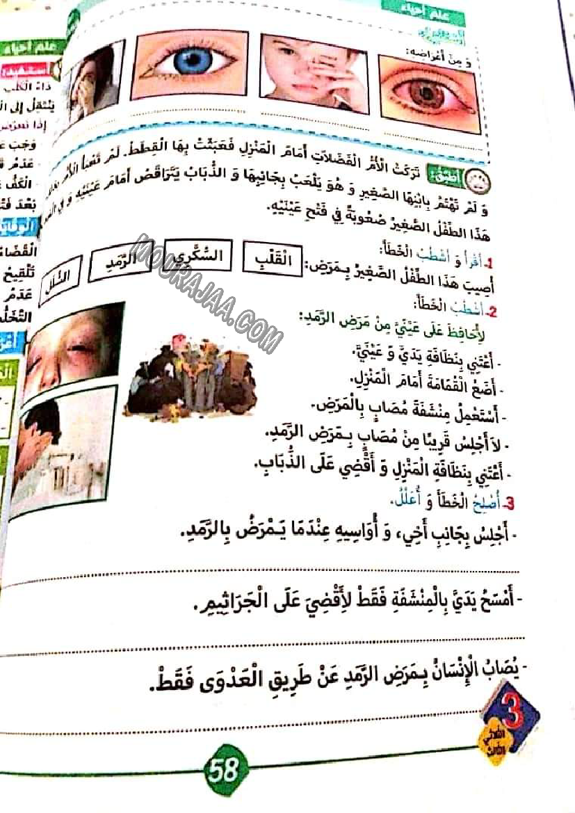 نور المشرق الثلاثي الثالث سنة ثالثة