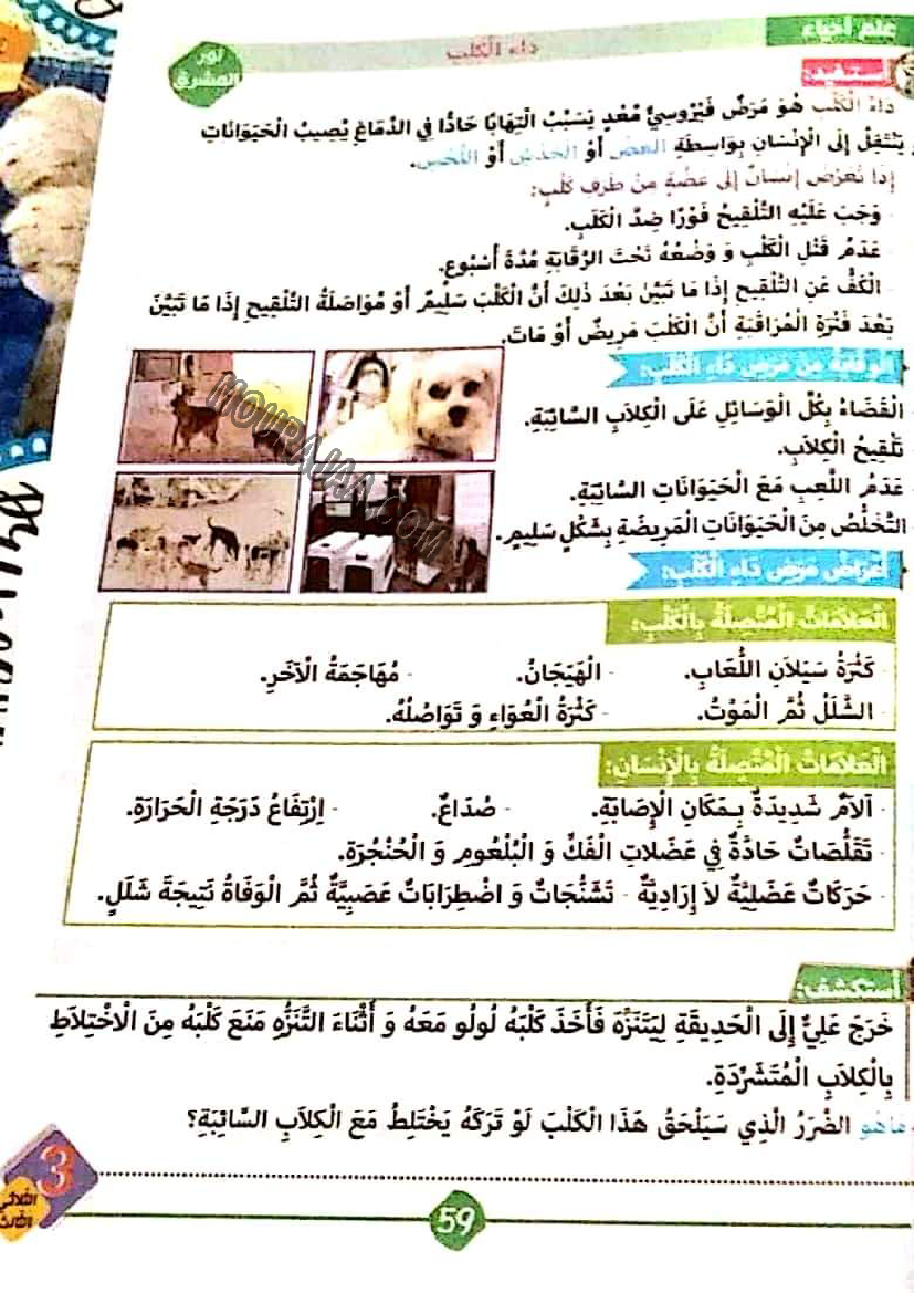 نور المشرق الثلاثي الثالث سنة ثالثة