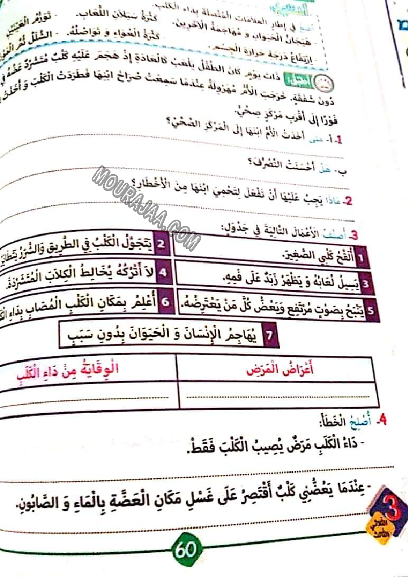 نور المشرق الثلاثي الثالث سنة ثالثة