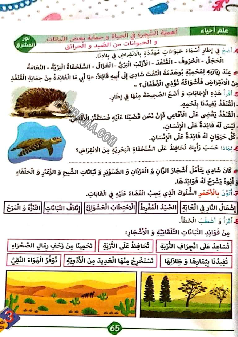 نور المشرق الثلاثي الثالث سنة ثالثة