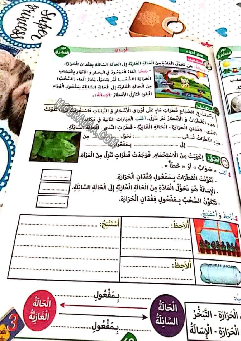 نور المشرق الثلاثي الثالث سنة ثالثة