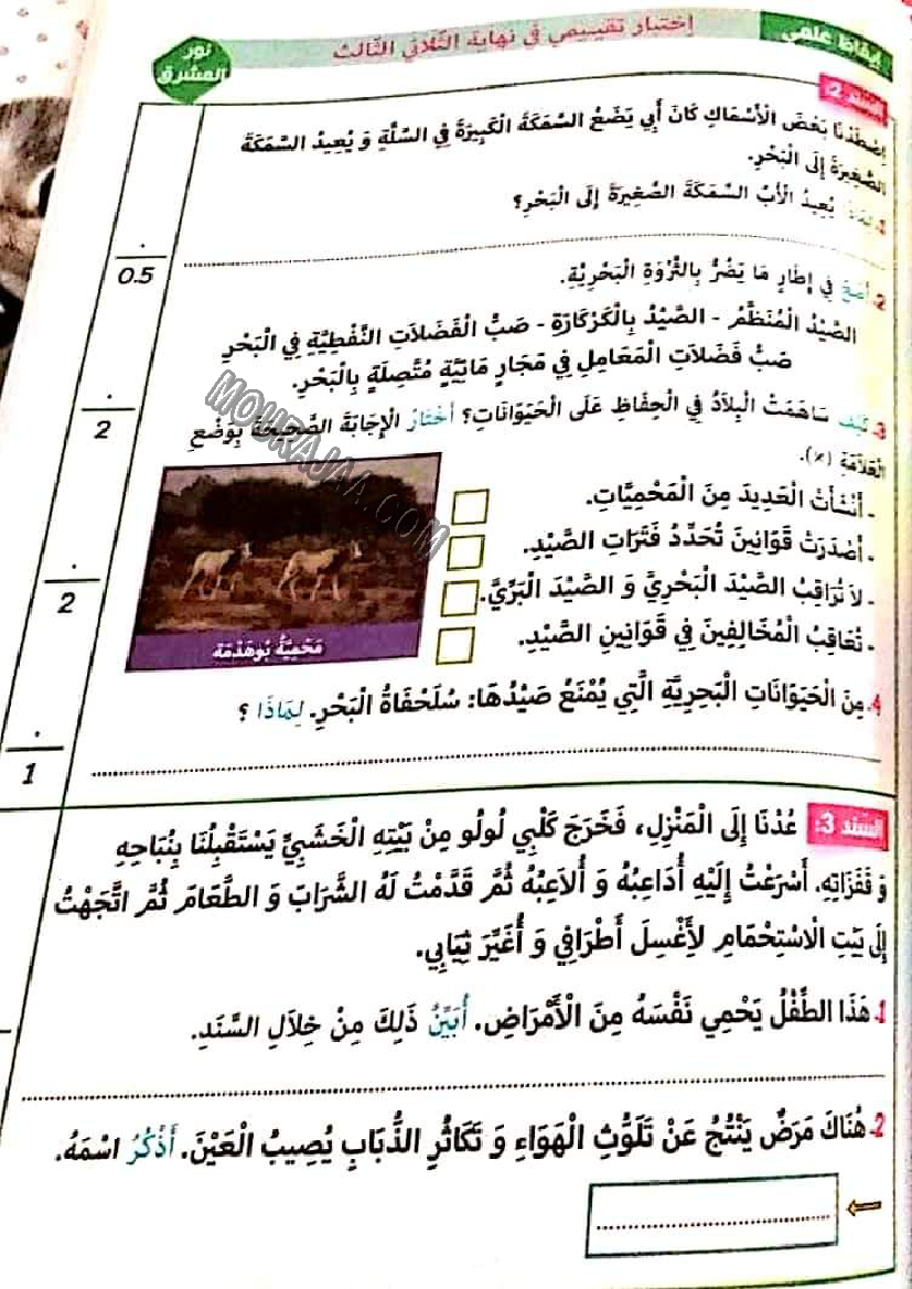 نور المشرق الثلاثي الثالث سنة ثالثة