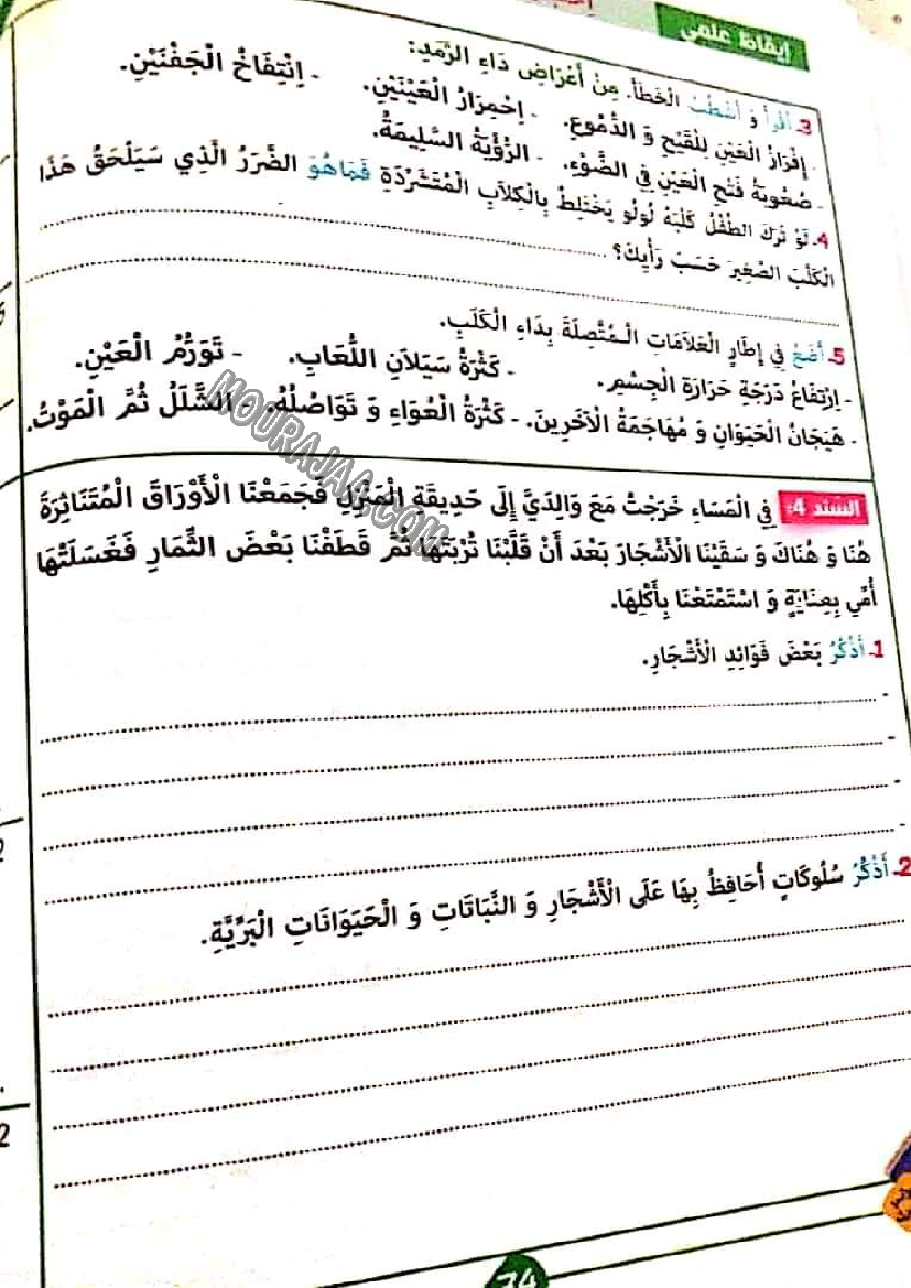 نور المشرق الثلاثي الثالث سنة ثالثة