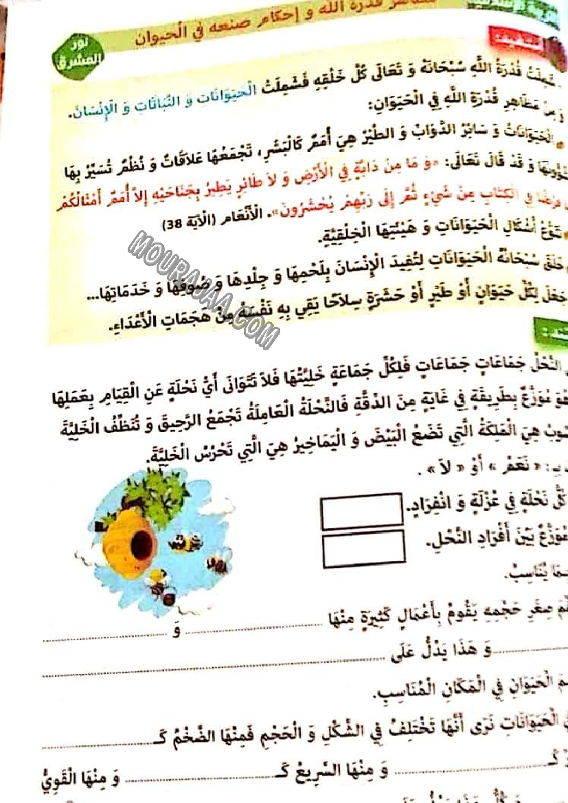 نور المشرق الثلاثي الثالث سنة ثالثة