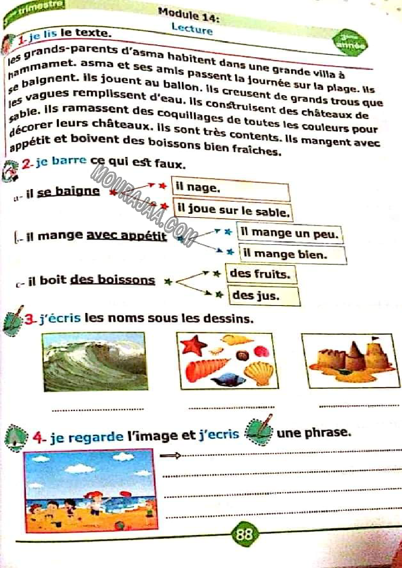 نور المشرق الثلاثي الثالث سنة ثالثة