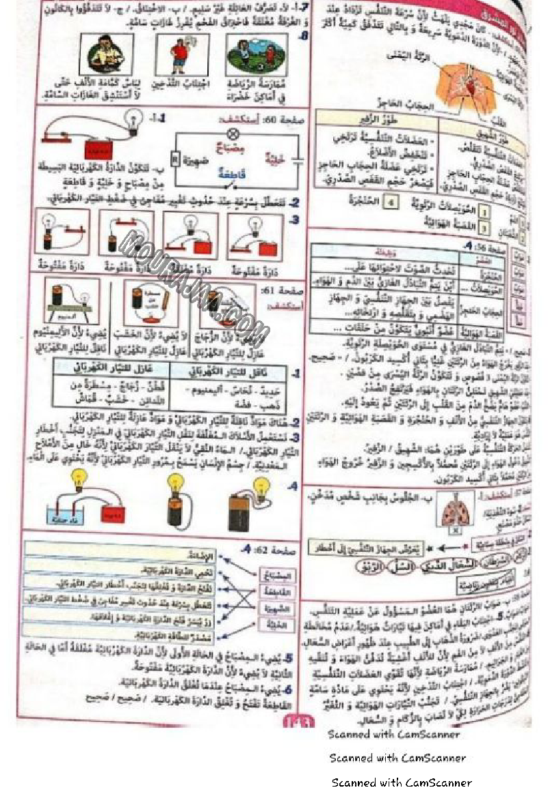 نور المشرق سنة خامسة الثلاثي الثاني
