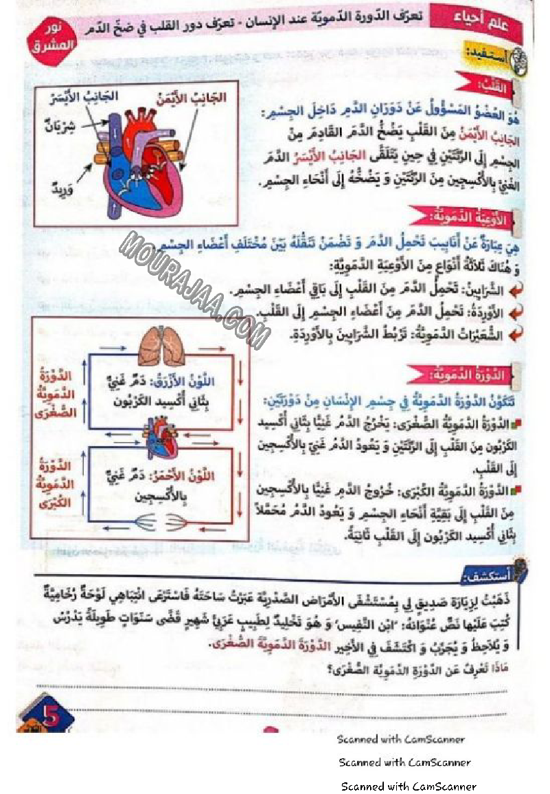 نور المشرق سنة خامسة الثلاثي الثاني