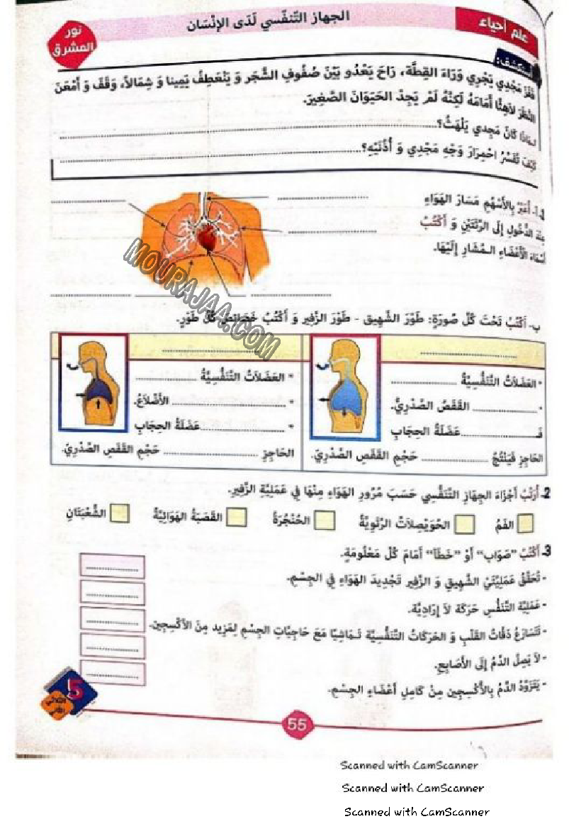 نور المشرق سنة خامسة الثلاثي الثاني