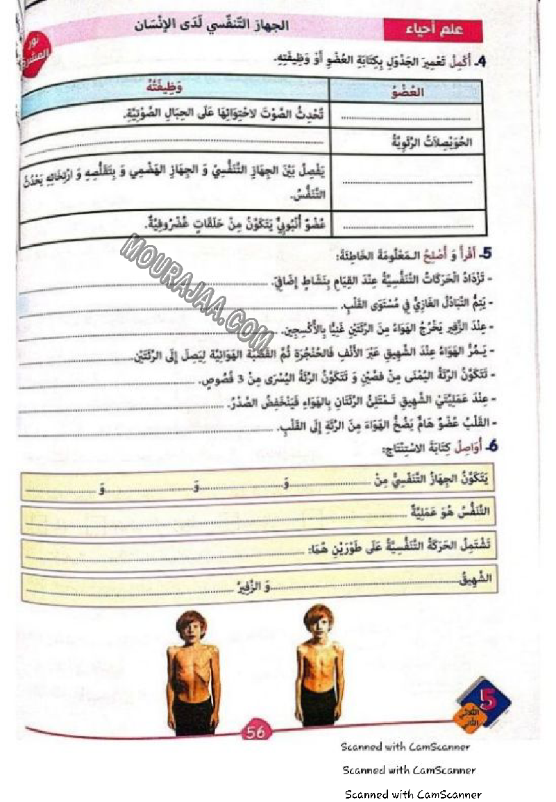 نور المشرق سنة خامسة الثلاثي الثاني