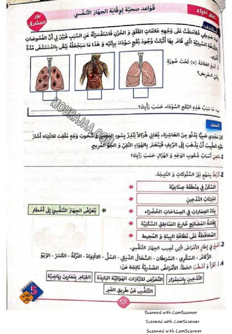 نور المشرق سنة خامسة الثلاثي الثاني