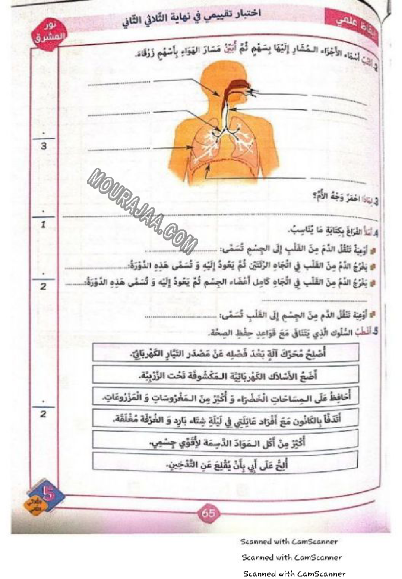 نور المشرق سنة خامسة الثلاثي الثاني